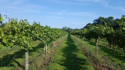 Property in Duplin County, North Carolina