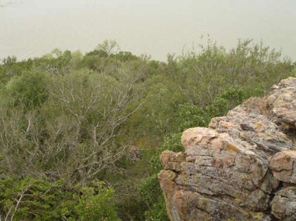 Property in Palo Pinto County, Texas