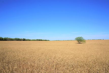 Property in Wichita County, Texas