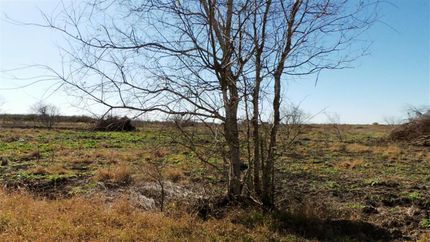 Property in Jim Wells County, Texas