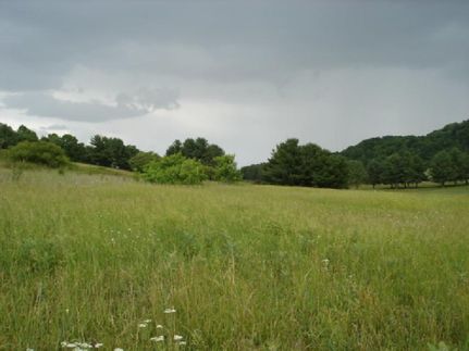 Property in Greene County, Tennessee