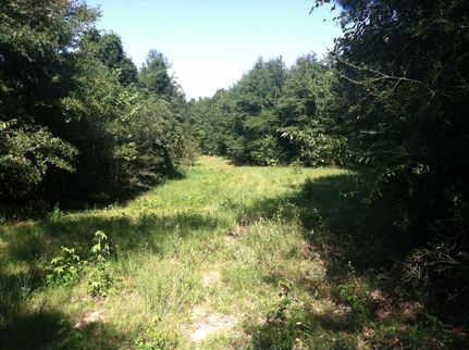 Property in Coffee County, Alabama