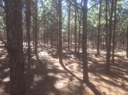 Property in Coffee County, Alabama