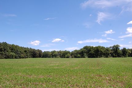 Property in Essex County, Virginia