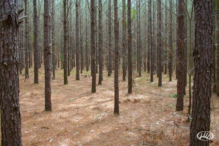 Property in Elbert County, Georgia