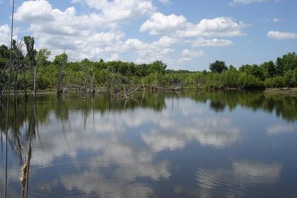 Property in Sumter County, Alabama