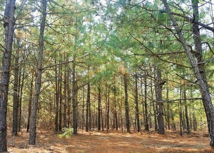 Property in Hoke County, North Carolina