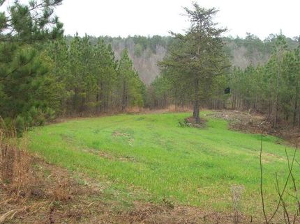 Property in Walker County, Alabama