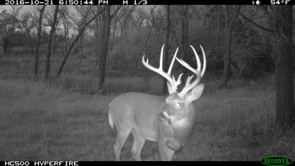 Property in Linn County, Kansas