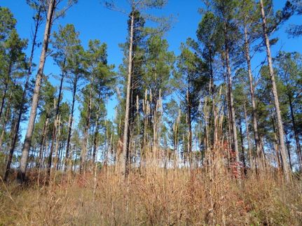 Property in Pike County, Alabama