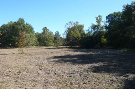 Property in Bullock County, Alabama