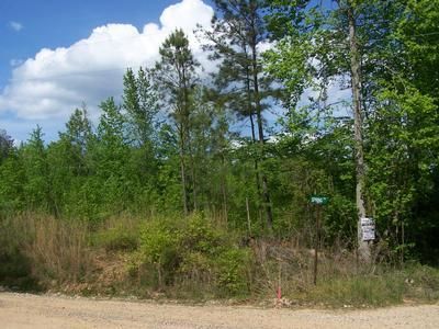 Property in Clay County, Alabama