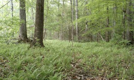 Property in Tallapoosa County, Alabama
