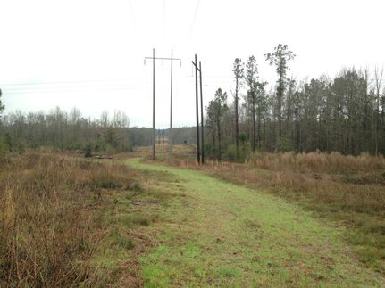 Property in Geneva County, Alabama