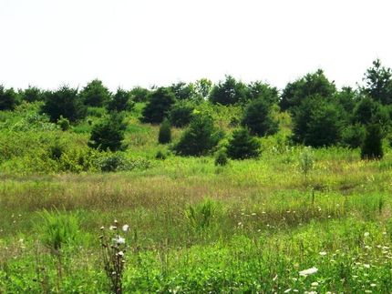 Property in Christian County, Kentucky