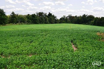 Property in Graves County, Kentucky