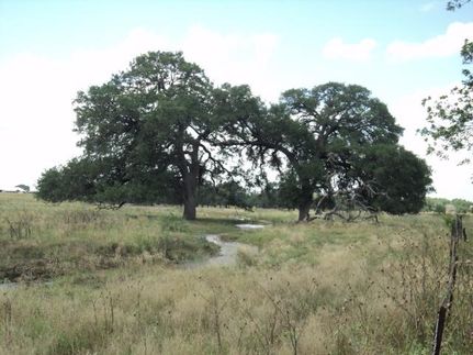 Property in Atascosa County, Texas