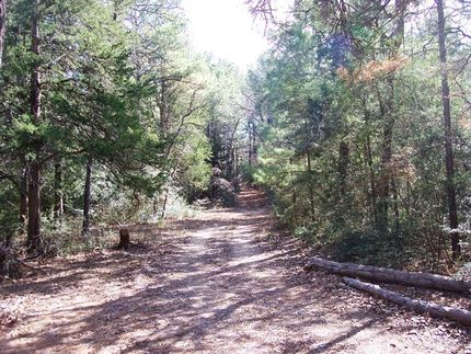 Property in Austin County, Texas