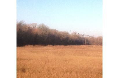 Property in Prairie County, Arkansas