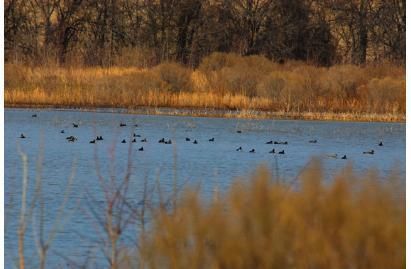 Property in Phillips County, Arkansas