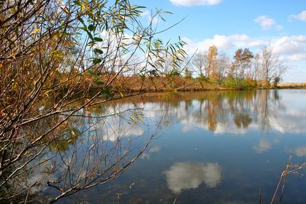 Property in Wabash County, Illinois