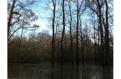 Property in Saint Francis County, Arkansas