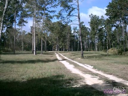 Property in Livingston Parish, Louisiana