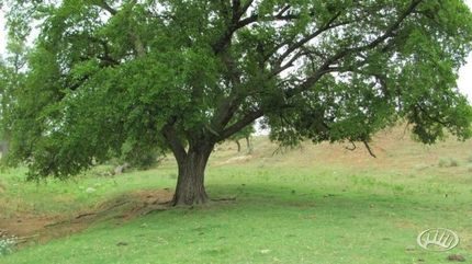 Property in Woods County, Oklahoma