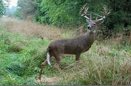 Property in Washington County, Illinois