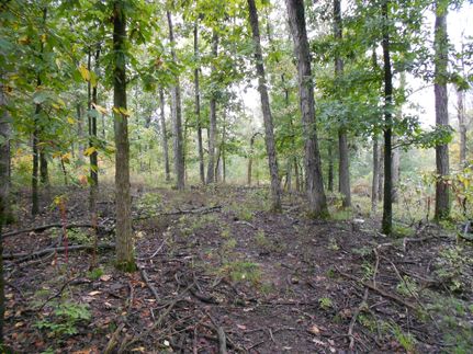 Property in Webster County, Kentucky