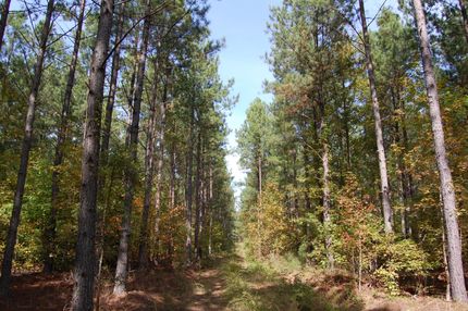 Property in Lunenburg County, Virginia