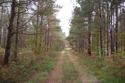 Property in Isle of Wight County, Virginia