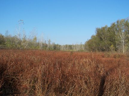 Property in Randolph County, Illinois