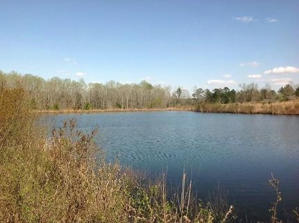 Property in Lee County, Alabama
