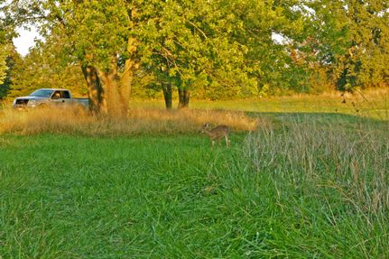 Property in Callaway County, Missouri