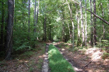 Property in King and Queen County, Virginia