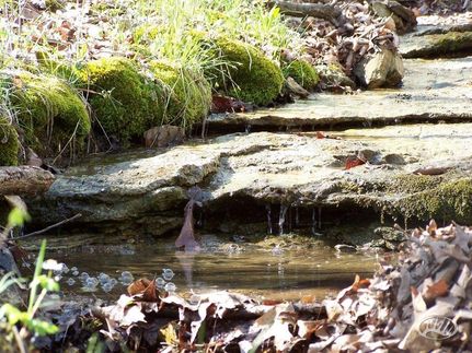 Property in Perry County, Missouri