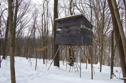 Property in Schuyler County, Illinois