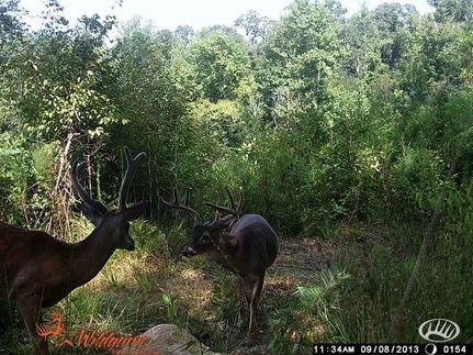 Property in Jefferson County, Mississippi