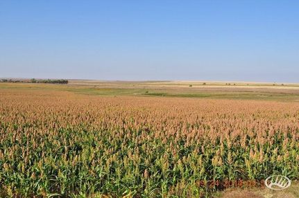 Property in Trego County, Kansas