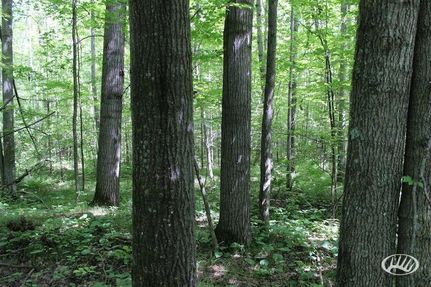 Property in Pine County, Minnesota