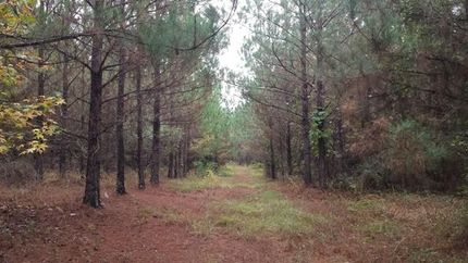 Property in Crenshaw County, Alabama