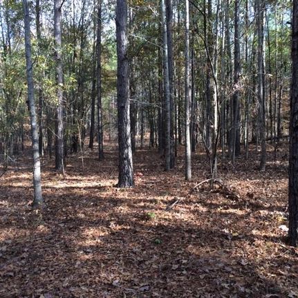 Property in Chilton County, Alabama
