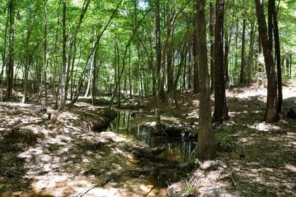 Property in San Jacinto County, Texas