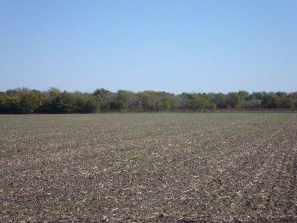 Property in Falls County, Texas