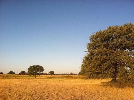 Property in Shackelford County, Texas