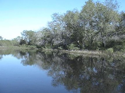 Property in Atascosa County, Texas