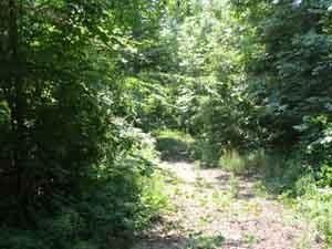 Property in Arkansas County, Arkansas