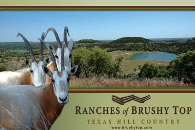 Property in Blanco County, Texas