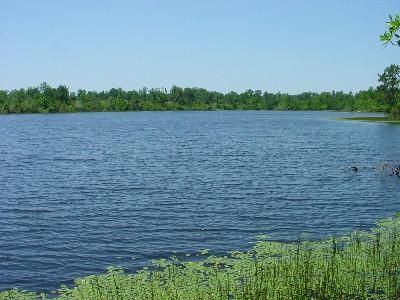 Property in Stone County, Mississippi